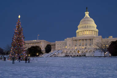 capitol building, near a giant christmas tree, during winter