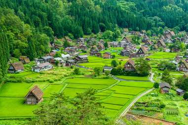 Japanese Village, Shirakawa-go, is verdant and green, with thatched roofs
