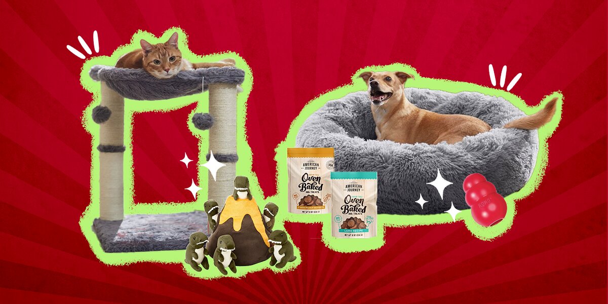 Chewy's Editors Pick the Best Holiday Pet Gifts of 2023