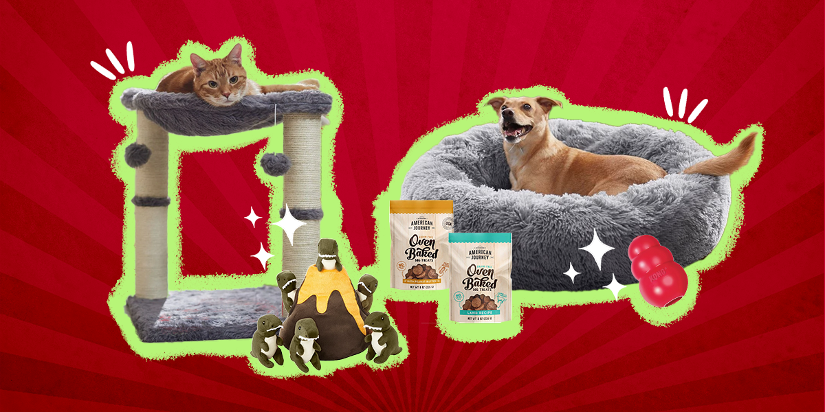 These Are The Best Reviewed Pet Products On Chewy In 2023 The Dodo