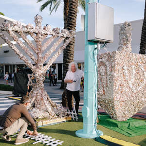 seashell menorah miami beach