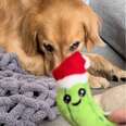 Dog Obsessed With His Favorite Toy From Puppyhood Gets A Giant Surprise