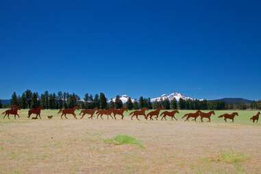 horse sculptures in sisters oregon