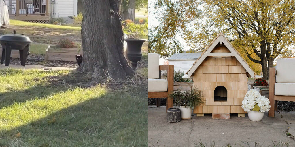 Interior Designers Put Skills To Use By Building House For Stray Cat