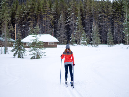 Cross-country skier