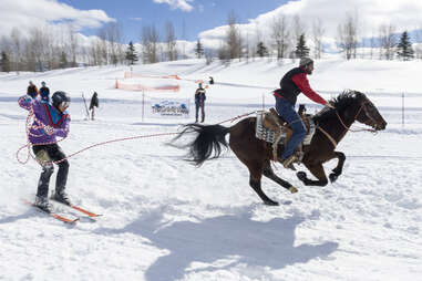 man skijoring with horse