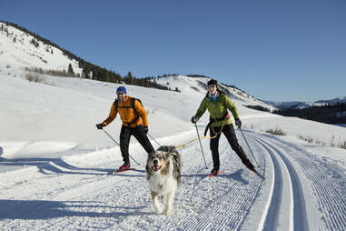 couple skijoring