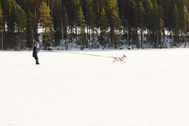 little boy skijoring