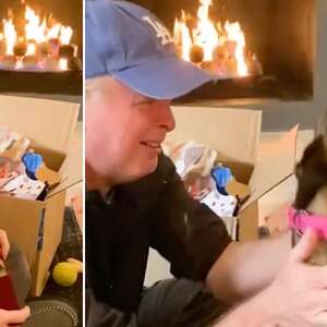 Dad Loses It When He Realizes He Gets To Keep His Foster Dog