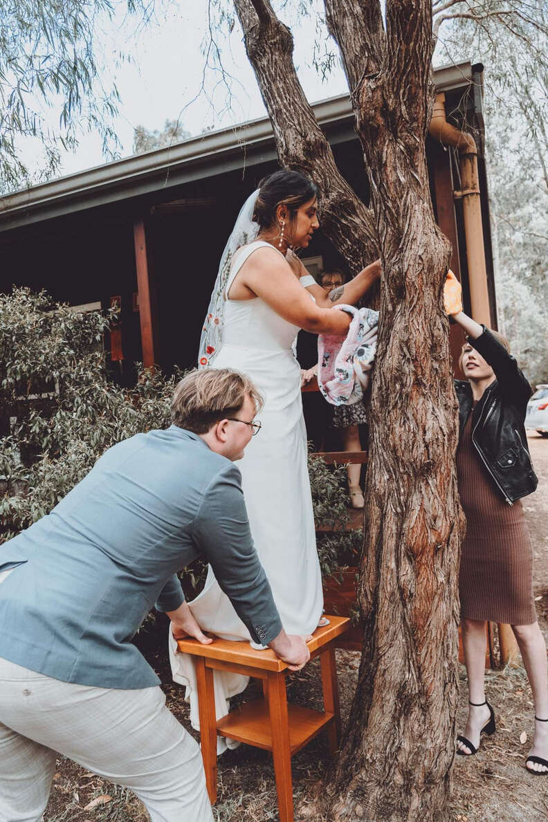 bride in tree