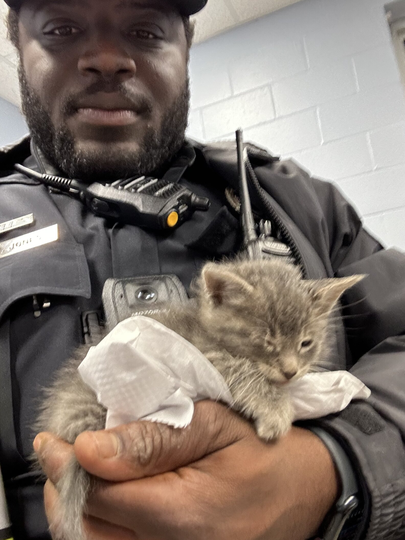 Cop Finds An Abandoned Kitten — And It Changes Both Their Lives Forever ...