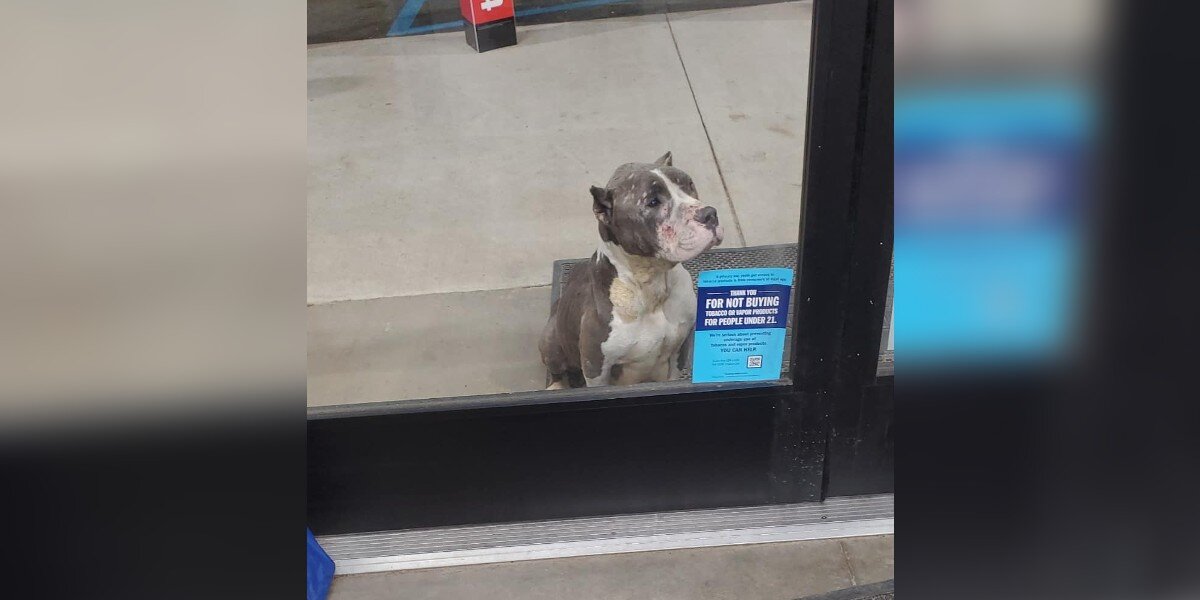 Shoppers Spot A Haunting Face Pleading For Help At Store's Front Door
