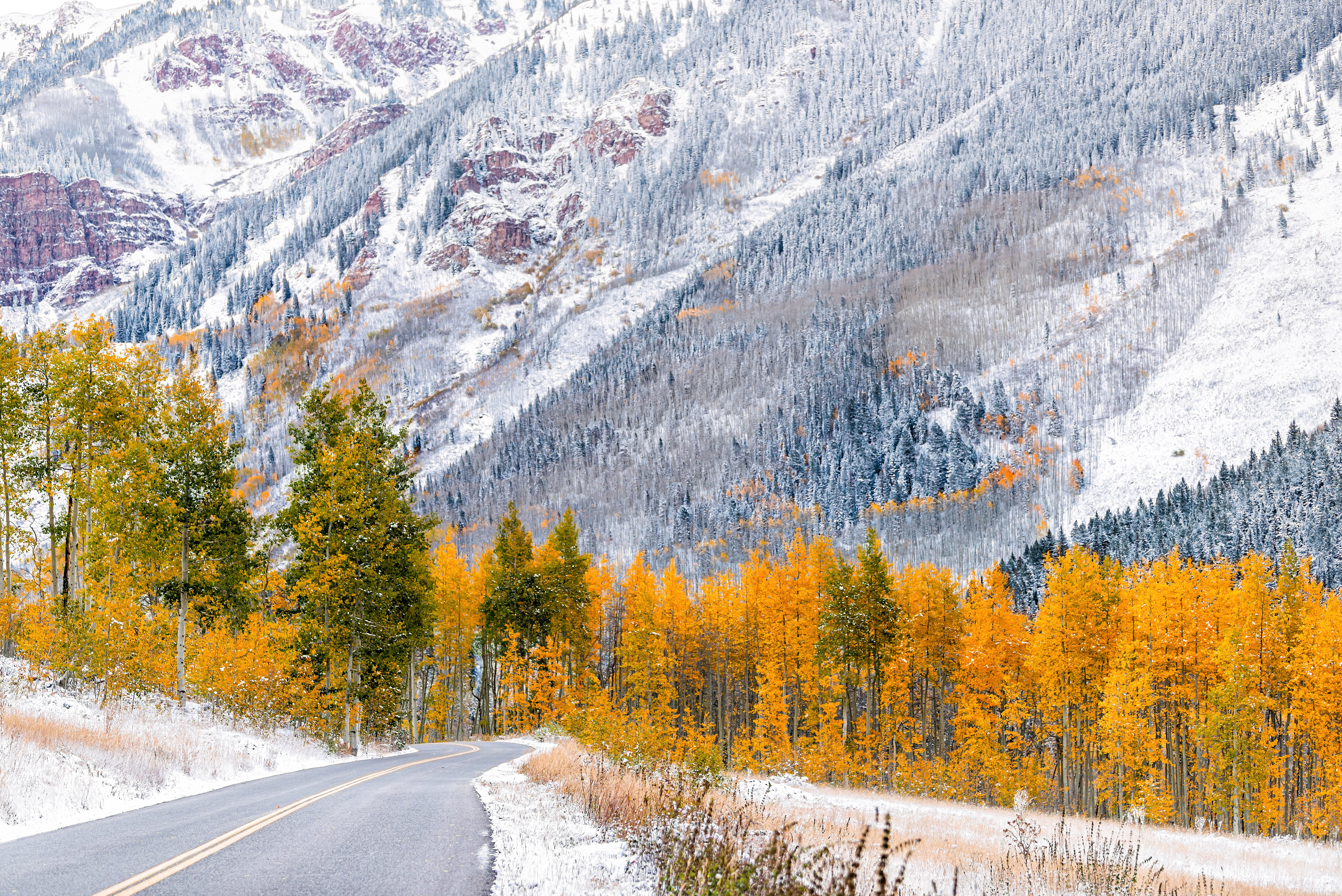 Foliage Plus Snow Equals ‘Snowliage’—Here’s Where to See It