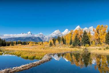 panoramic view of lake at grand teton national park surrounded by golden trees and snowy mountain peaks