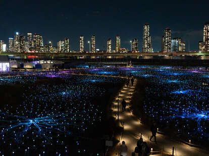 The “Field of Light” installation alongside Manhattan’s FDR Drive in Murray Hill