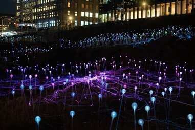 Closeup of the light spheres at The “Field of Light” installation