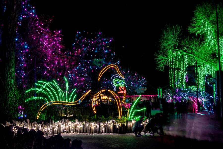 Where to See Christmas Lights in Denver This Winter Thrillist