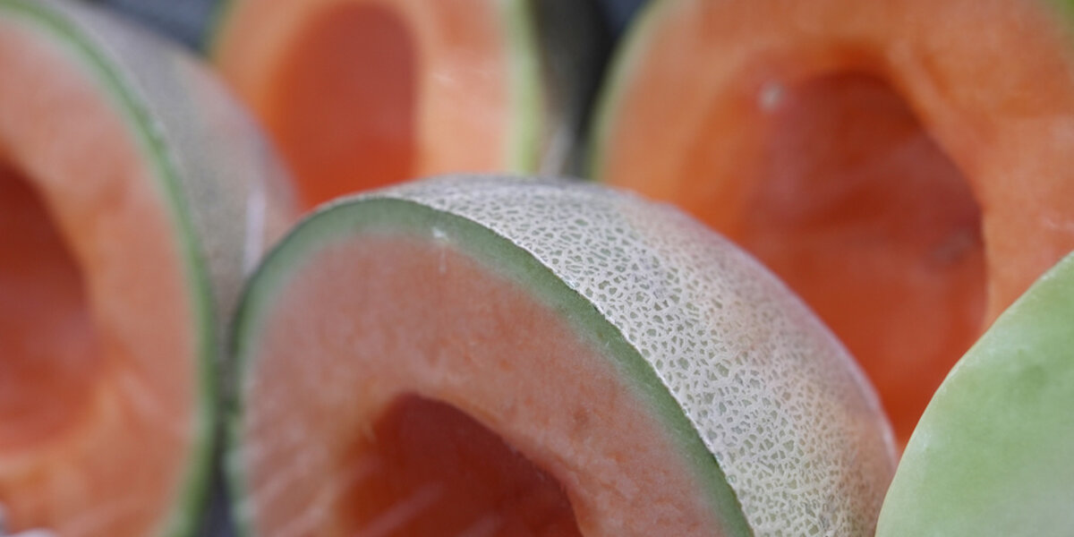 Here's What You Need To Know About the Deadly Salmonella Outbreak Tied to Cantaloupes - Vimarsana News