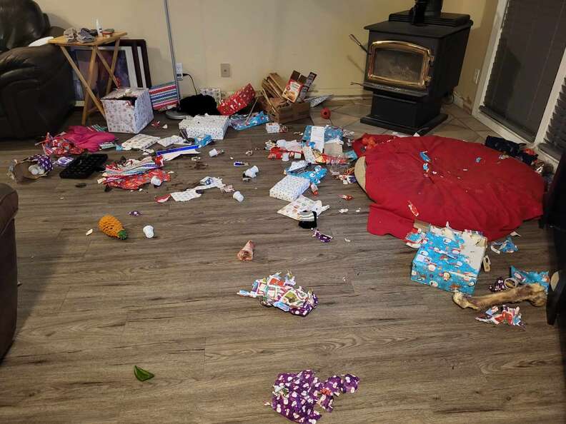 dog destroys presents