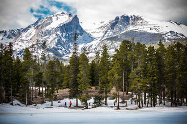 landscape view of evergreen trees at rocky mountains national park