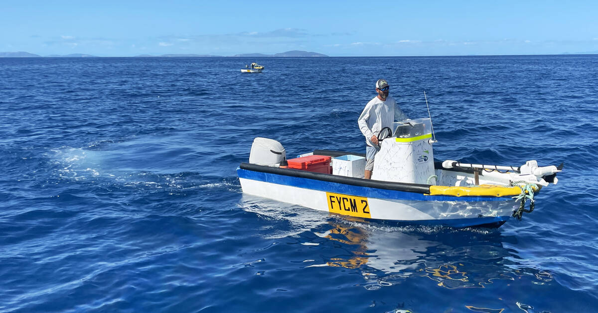 Fishing the Great Barrier Reef with the Man Who Supplies Australia's Top  Chefs