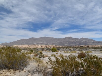 ice age fossils state park