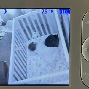 Woman Checks Baby Monitor And Finds A Mysterious Black Lump In Daughter's Crib