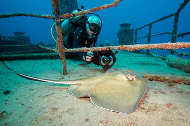 scuba diver in an underwater shipwreck in statia