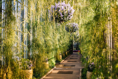 Non Alcoholic Wine and Sober Activities to Do in Philly