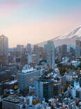 Aerial view of Tokyo cityscape with Fuji mountain in Japan.