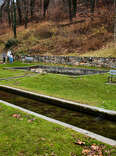 boy bending over a canal in berkeley springs west virginia