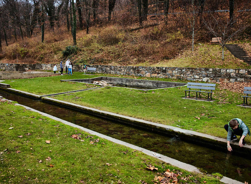 boy bending over a canal in berkeley springs west virginia