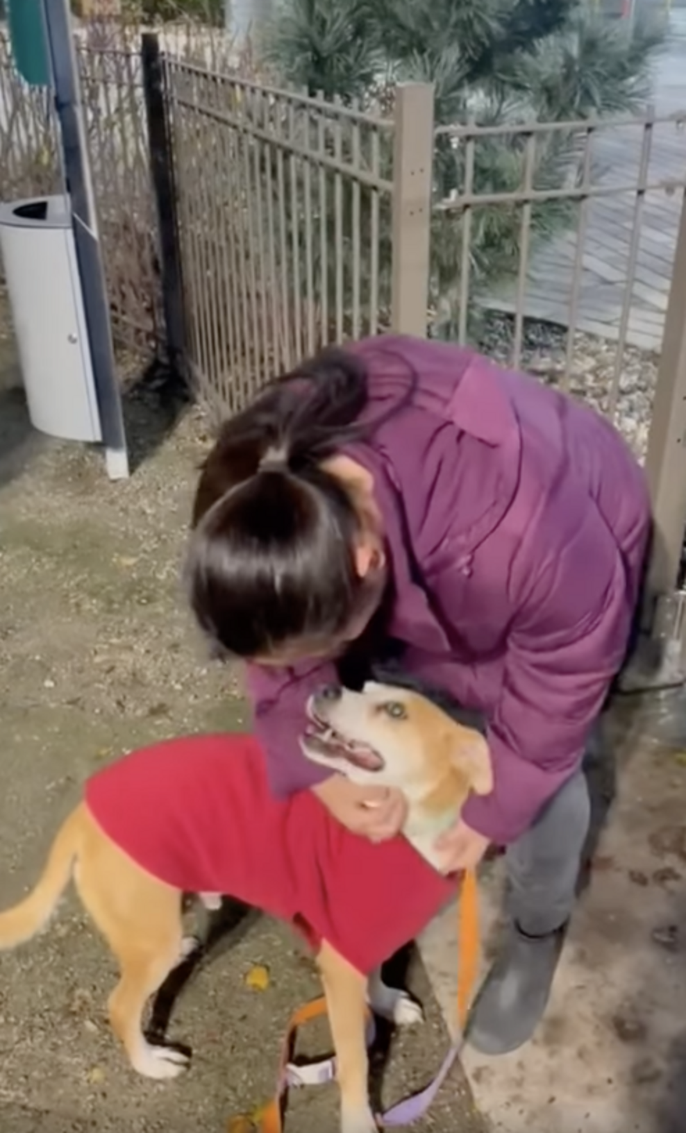 Dog Who Lived At Shelter For 10 Years Can’t Believe He’s Going Home ...