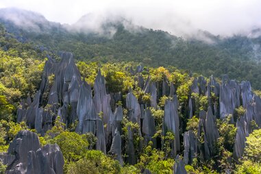 the pinnacles in mulu national park in malaysian boreno sticking up into the sky