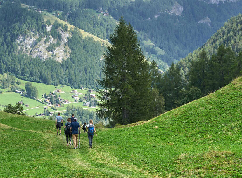 వండర్ రాక్ టూర్ గ్రూప్