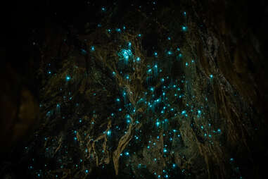 waitomo glowworm caves, waikato, new zealand