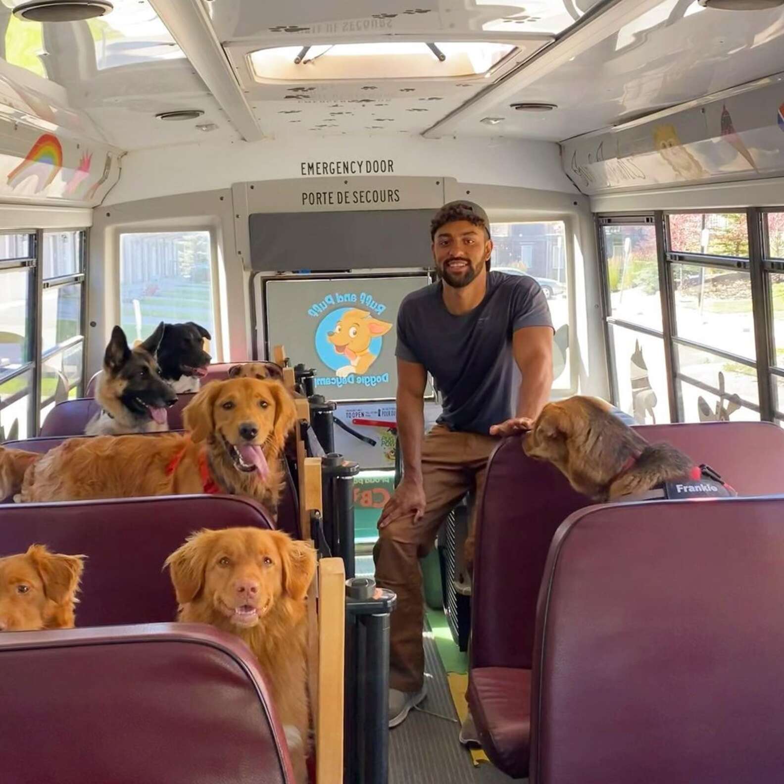 Special School Bus Picks Up Neighborhood Dogs And Brings Them To The ...