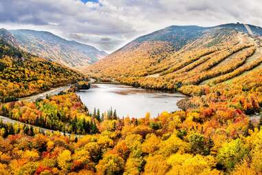 aerial view of fall foliage in new hampshire
