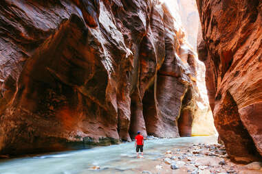 man hiking in the narrows, zion national park