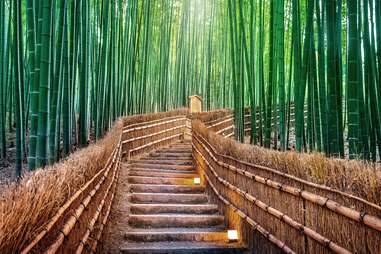 bamboo forest walkway, kyoto, japan