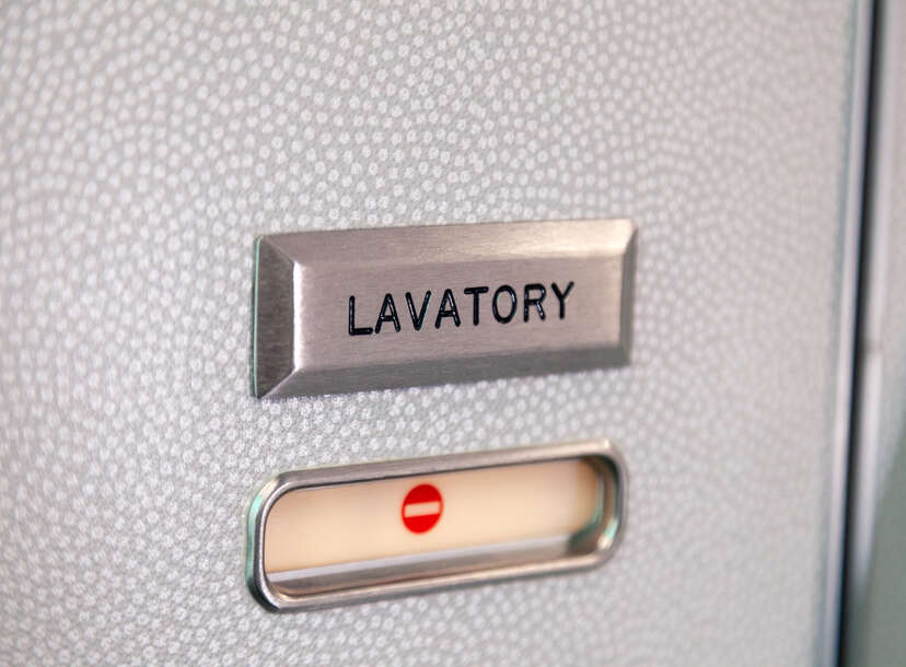 plane lavatory door