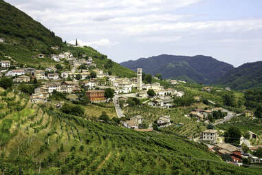 vineyards along the road of prosecco e conegliano wines, treviso province
