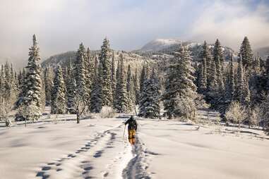 person cross country skiing in steamboat springs colorado