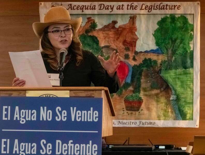 a woman with a cowboy hat behind a podium