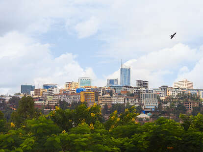 the skyline of kigali, rwanda in africa as seen over some brush with a bird flying above