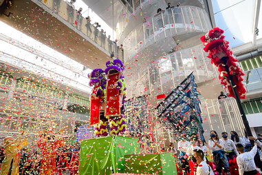 POST Houston lunar new year celebration