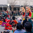 Lunar New Year celebration in Houston