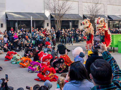 Lunar New Year celebration in Houston