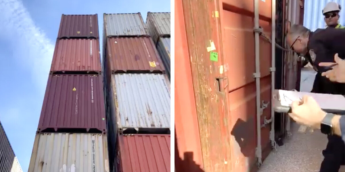 Coast Guards Inspecting Shipping Container Hear Scratching From Inside ...