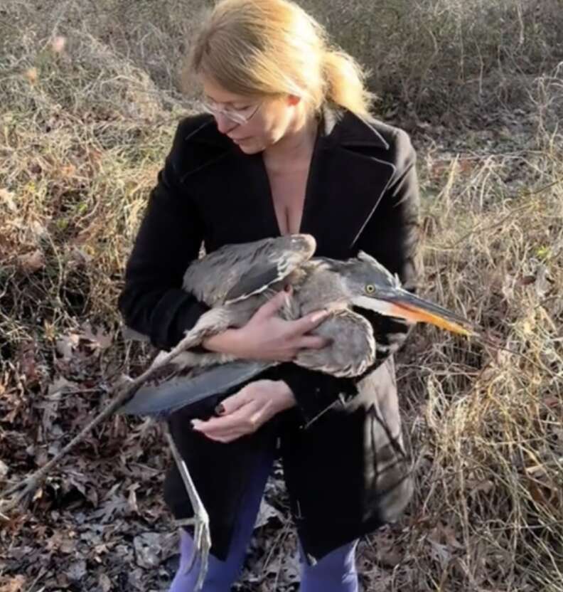 woman holding bird 